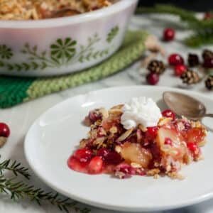 Colorful apple cranberry crisp on white plate.