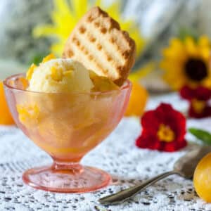 Yellow plum sorbet on pink dessert bowls.