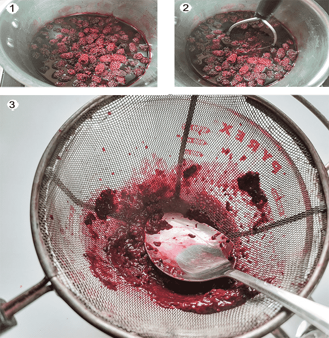 Step by step photographs of the process for removing seeds from Blackberries. See details in recipe below.