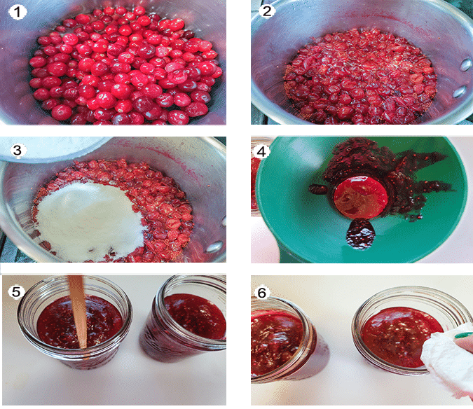 Step by step photographs of the process for canning Cranberry Sauce. See details in recipe below.