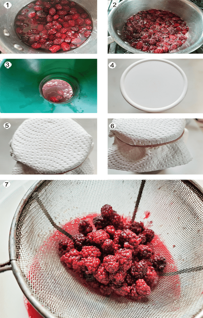 Step by step photographs of the process for making Blackberry vinegar. See details in recipe below.