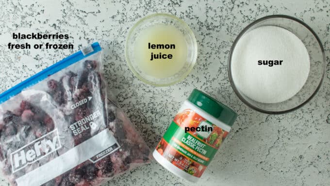 Ingredients for making blackberry syrup. See details in recipe below.
