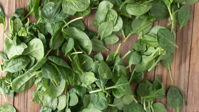 Baby spinach leaves.