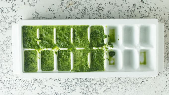 Ice cube tray filling with puréed spinach ready to freeze.
