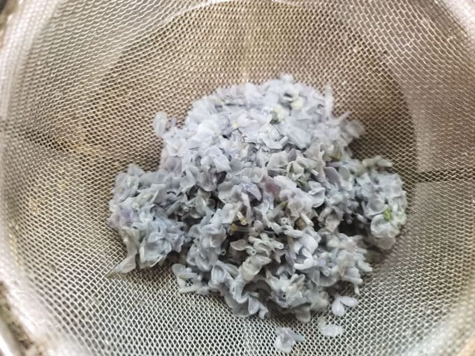Petals in a metal strainer.