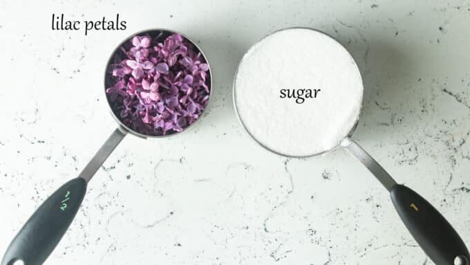 Ingredients for lilac sugar. Lilac petals and sugar.