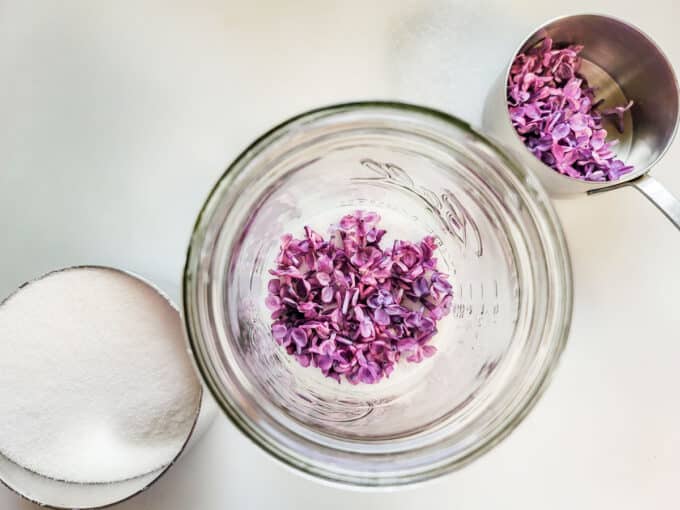 Sugar and lilac petals in mason jar.