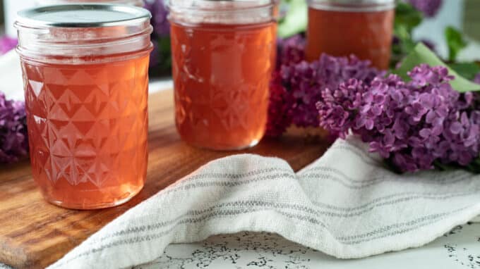 Row of jars of lilac jelly.