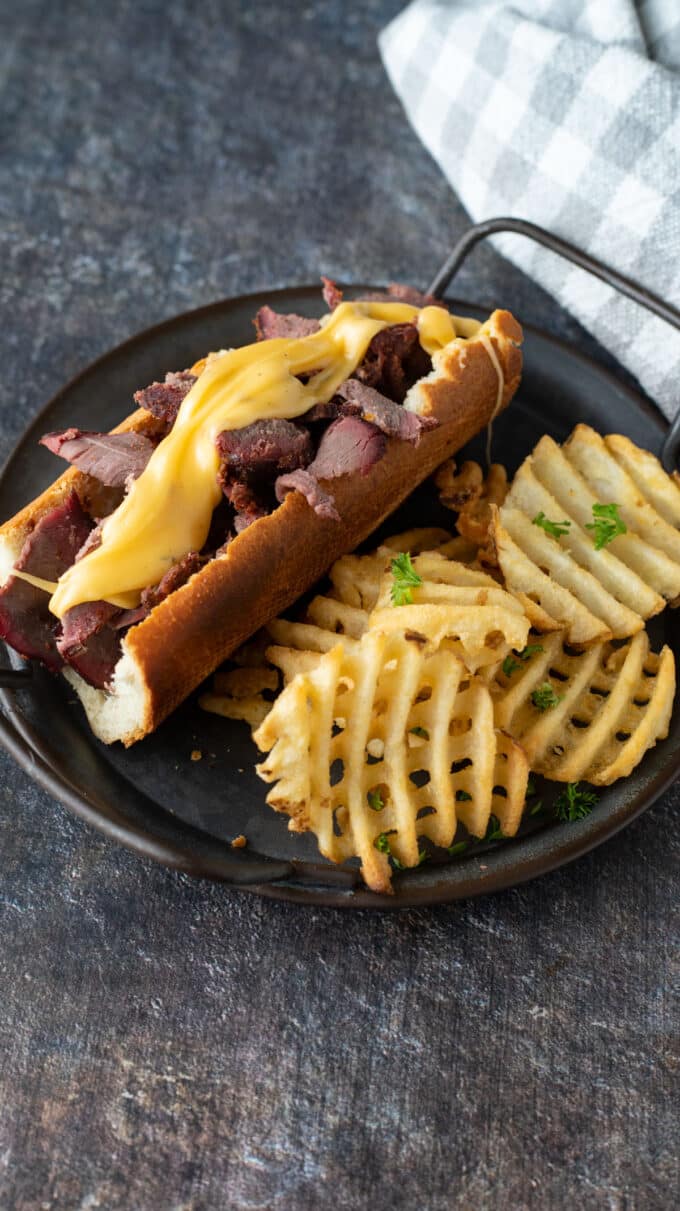 Smoked venison sub with waffle fries.