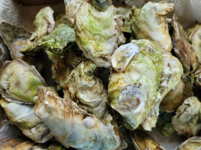 Washing oysters.