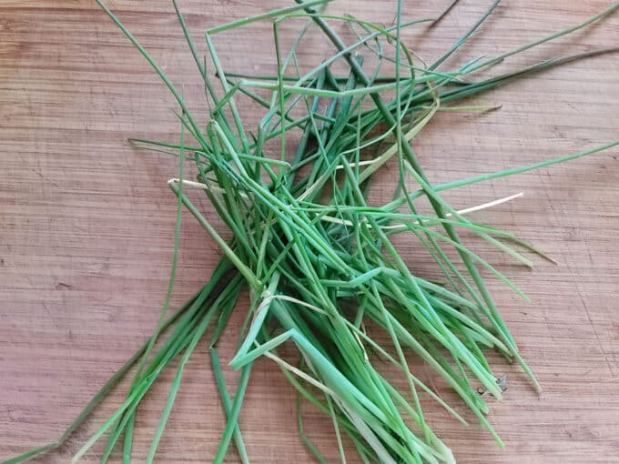 bunch of chives with grass in it.