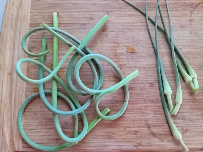Flower buds cut off of garlic scapes.