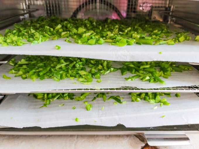 Racks in food dehydrator.