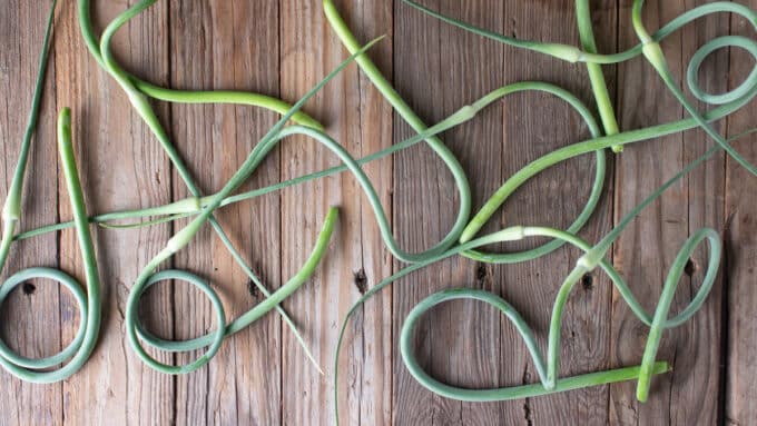 Curly garlic scapes on barnwood board.