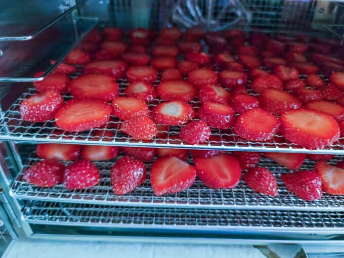 Racks slid into the dehydrator. 