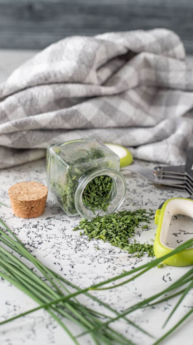 Chives spilling from spice storage jar.
