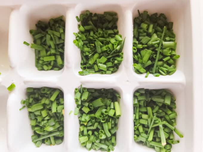 Chopped chives added to ice cube trays.
