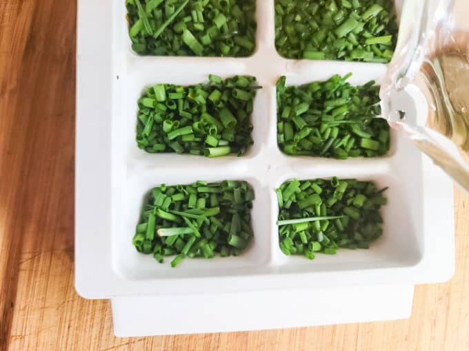 Pouring water into ice cube trays.