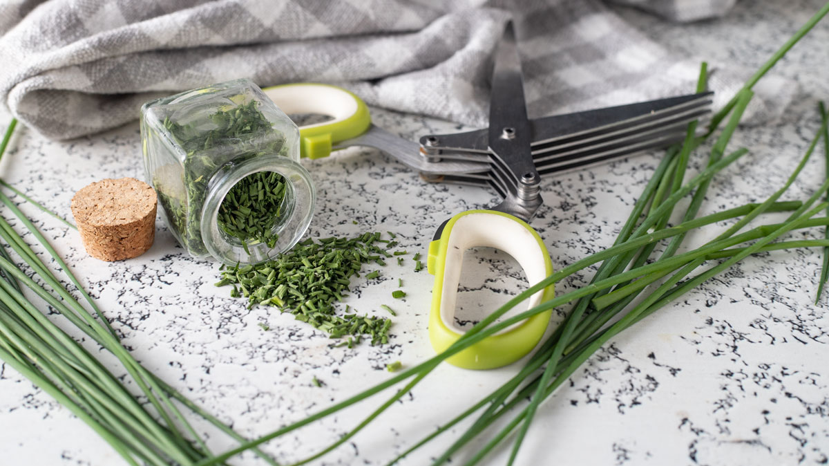 Dehydrated chives spilling from a small jar with fresh chives and an herb scissor.
