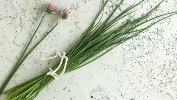 Bundle of chives tied with kitchen twine.