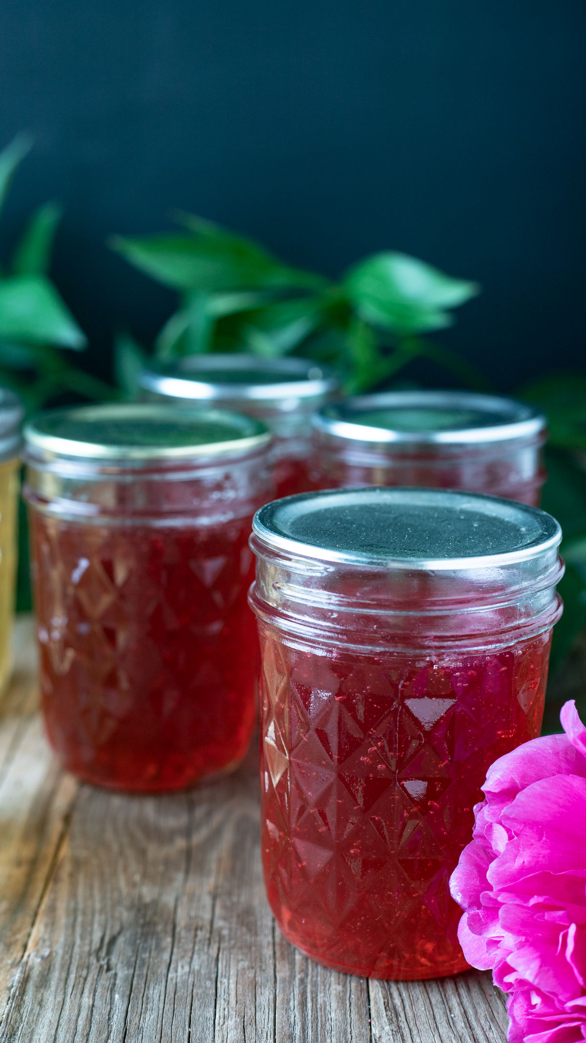 Magenta peony jelly in jars with flower.