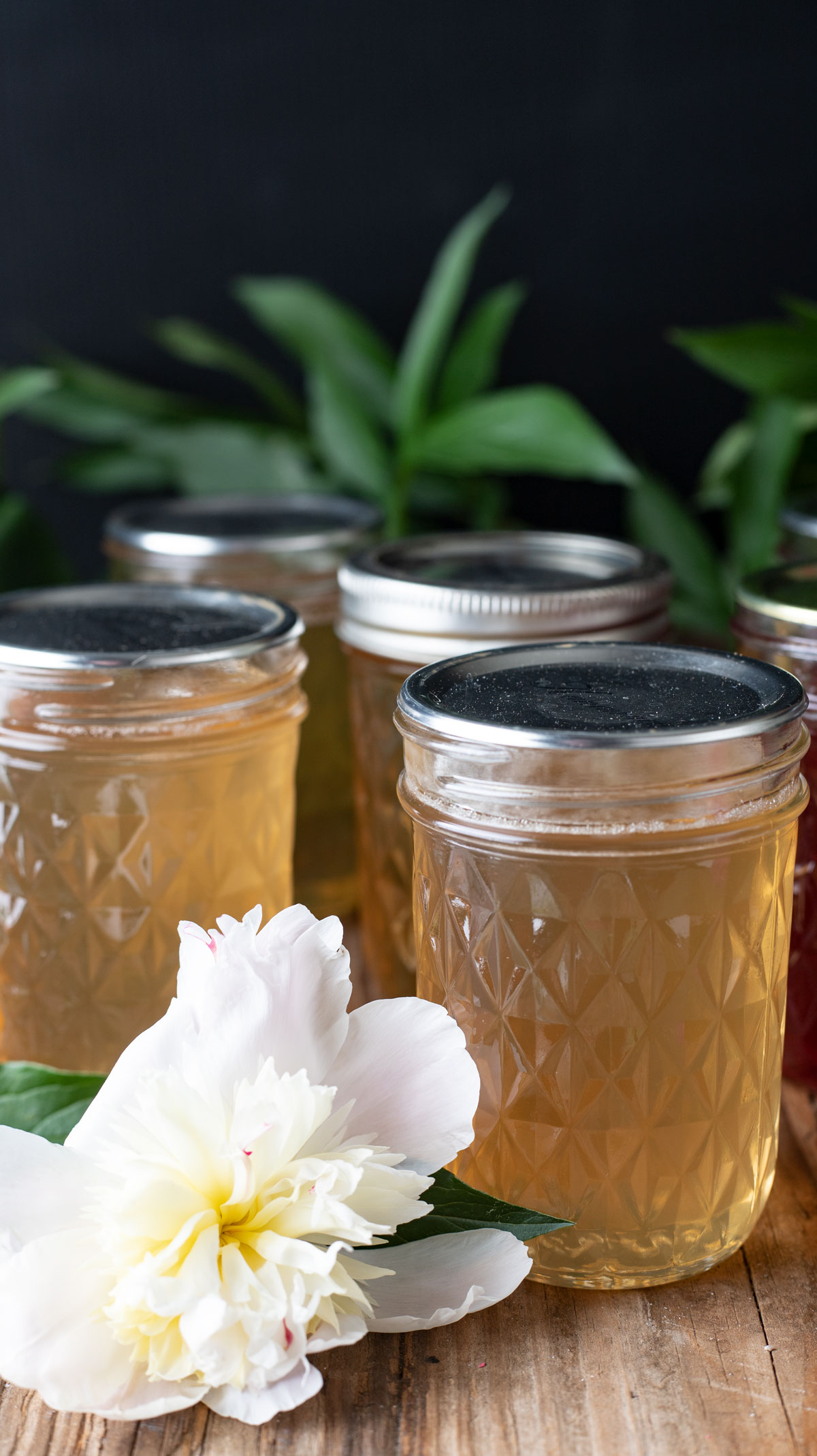 White peony jelly in jars with flowers.
