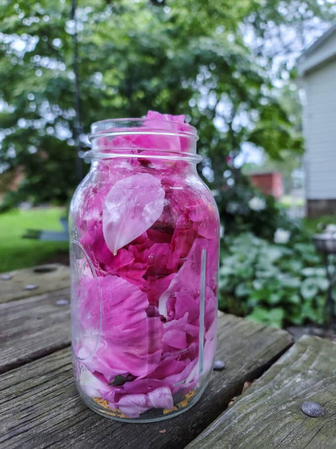Pink petals added to quart jar.