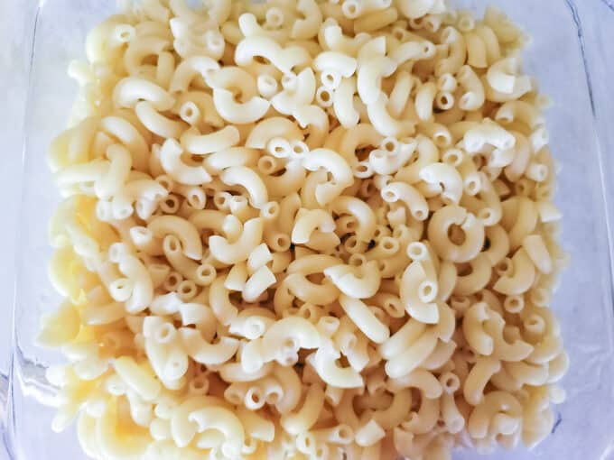Cooked pasta in baking dish.