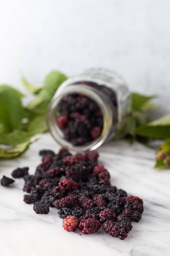 Dried blackberries spilling out of jar.