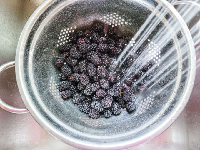 Spraying berries off with water.
