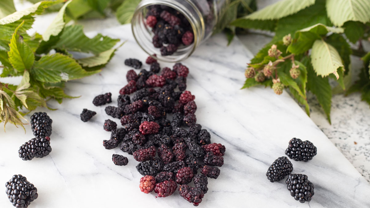 Jar of dried blackberries, whole, spilling out.