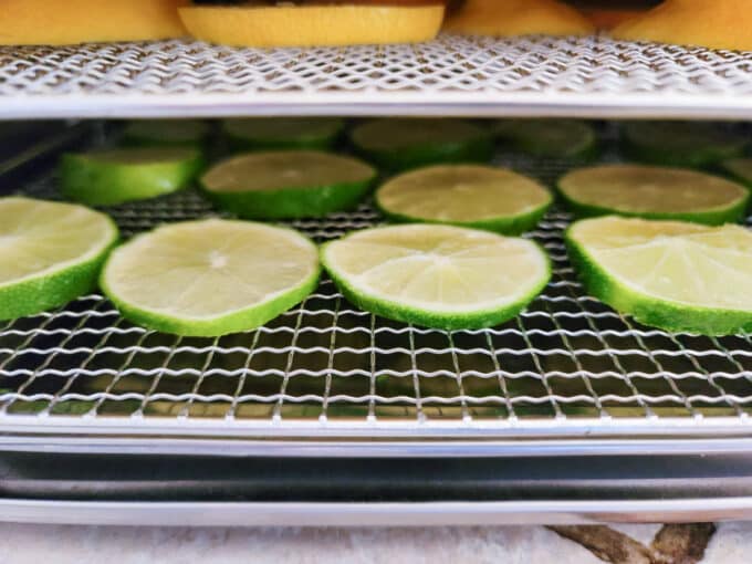 Limes in dehydrator with other citrus.