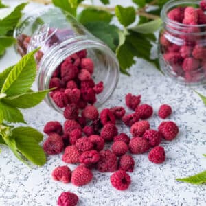 Dehydrated raspberries with leaves