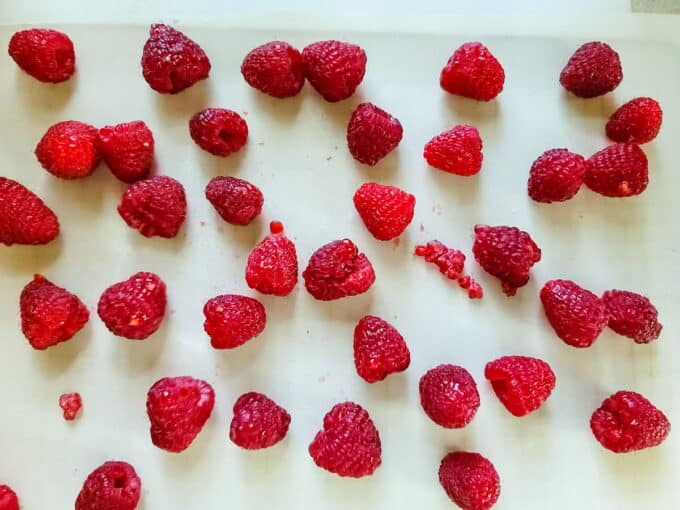 Berries spread on liner covered dehydrator rack.
