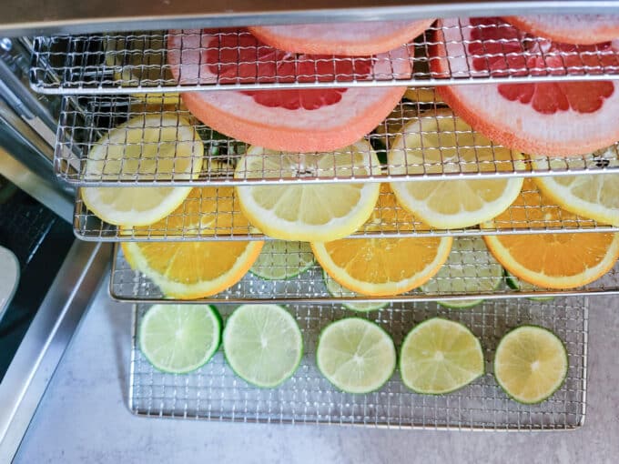 Orange, lemon, lime and grapefruit slices in dehydrator.