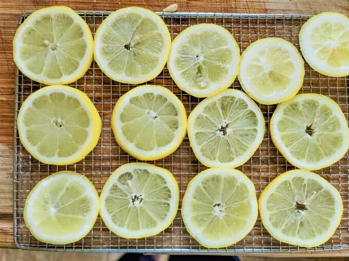 Single layer of lemon slices on dehydrator rack.