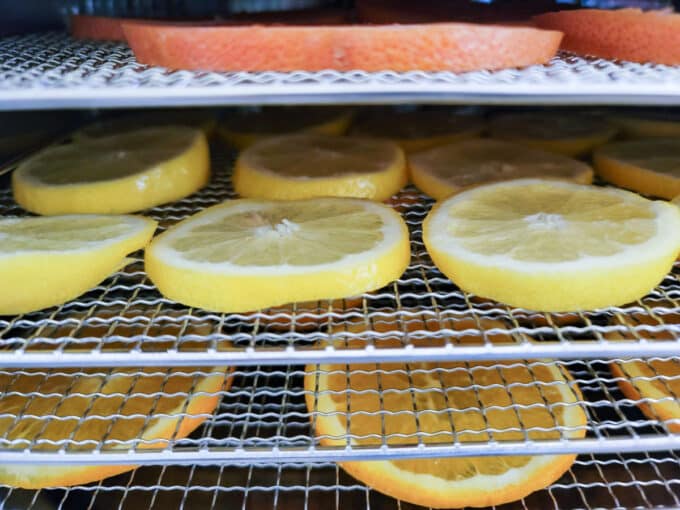 RAcks in dehydrator with lemons, oranges and grapefruit.