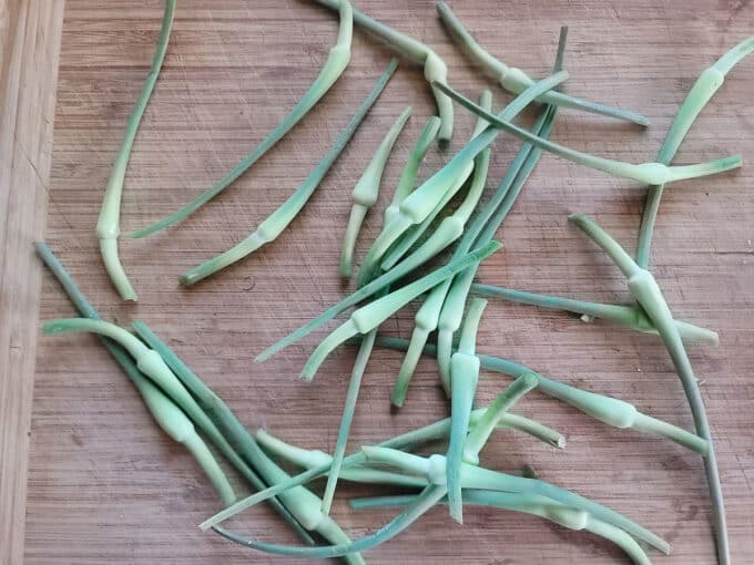 Garlic scape buds removed from the peduncle.