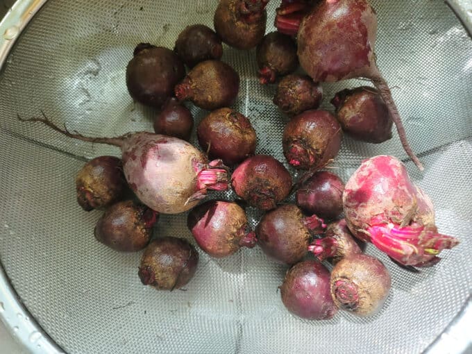 Washing beets in colander.