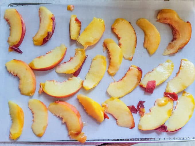 Sliced peaches on dehydrator rack.