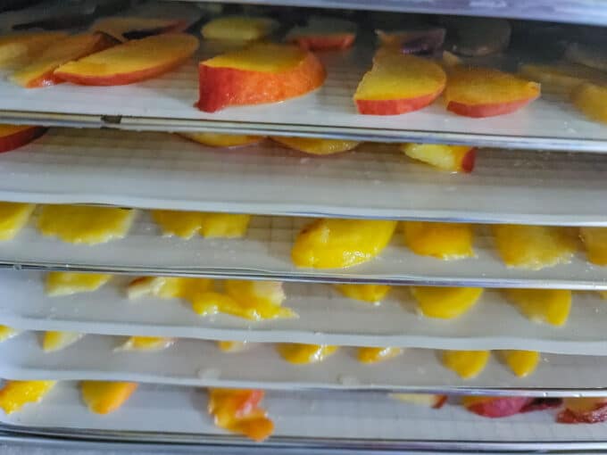 Dehydrator trays filled with sliced peaches.