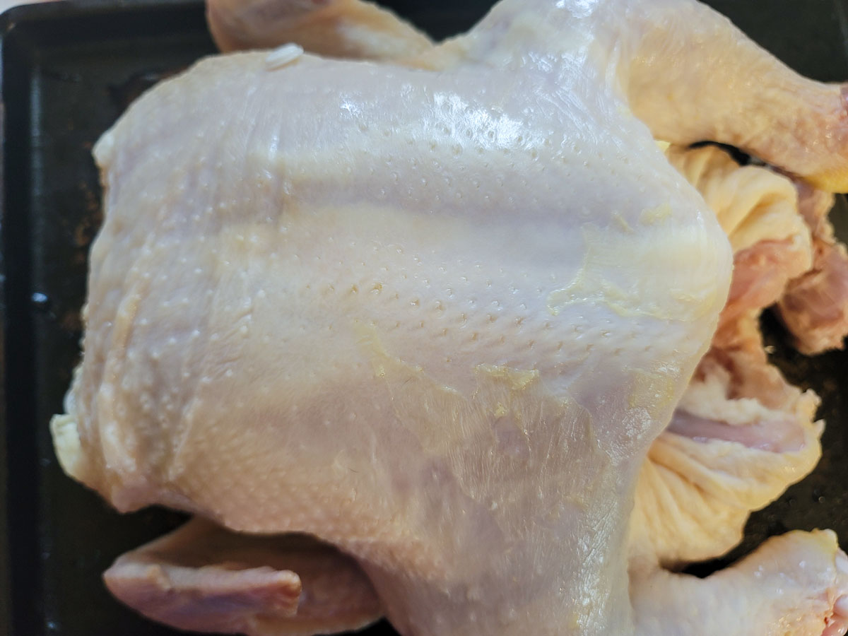 Whole raw chicken on a rimmed tray.