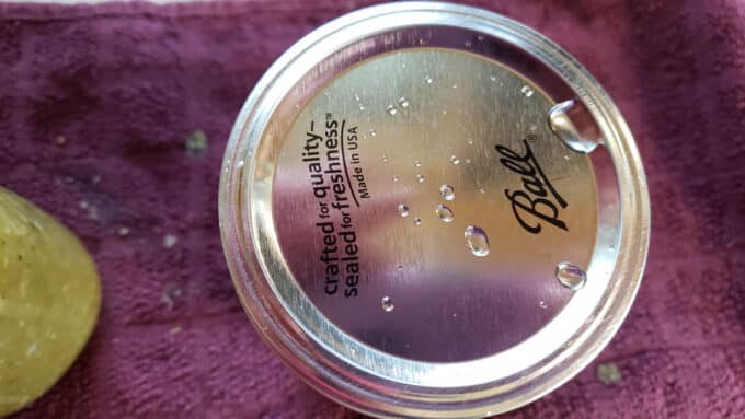 Band screwed onto jars.