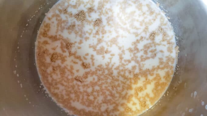 Yeast added to warm milk.