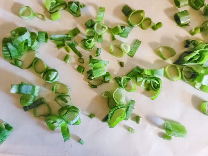 Sliced scallions on dehydrator sheet.