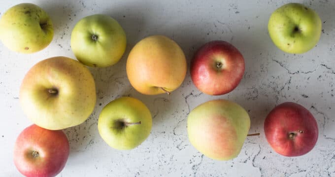 Mixed varieties of apples on light board.