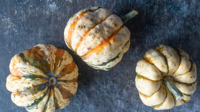 Colorful squash on dark background. 