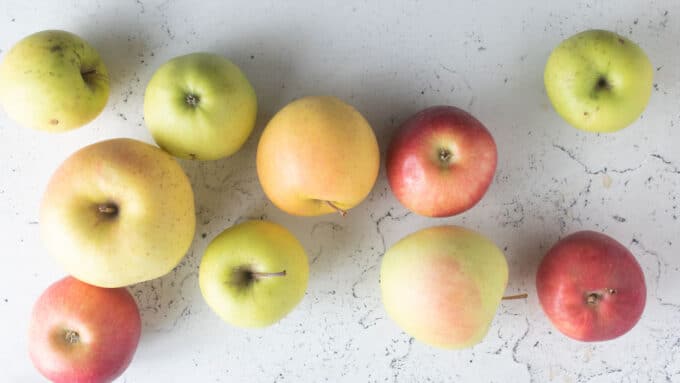 Mixture of apples on light background.