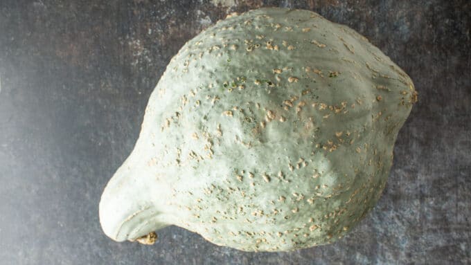 Whole blue hubbard squash on dark background.