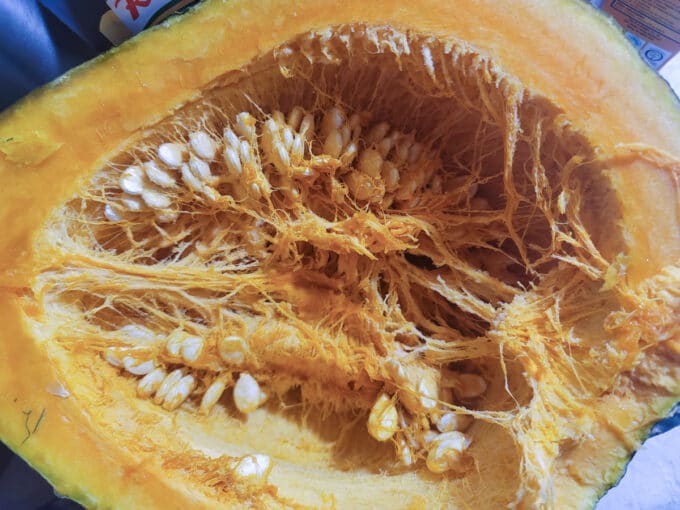 Squash cut in half with seeds in the middle.